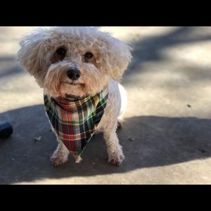 Meet your Posher, Kathy